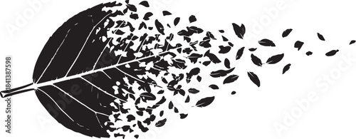 Leaf disintegrating into small pieces plant nature