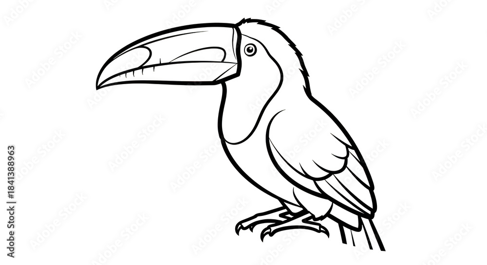 Fototapeta premium White outline of a toucan bird on black background