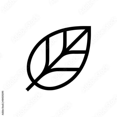 Illustration of a single leaf with veins shown on transparent background silhouette
