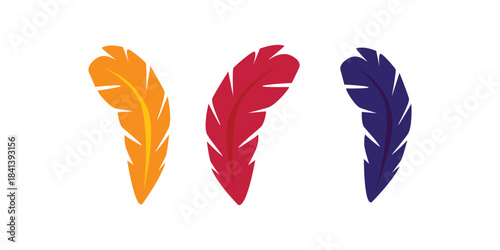 Beautiful collection of colorful feathers vector illustration isolated on white background decorative natural elements perfect for bohemian art festival craft and design concepts