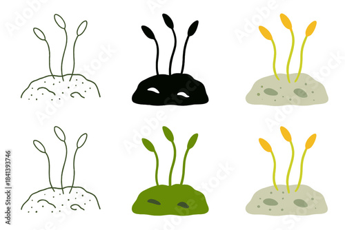 Moss Sprouting on Stone. Minimalist close view of moss filaments sprouting from stone pores, delicate texture and subtle vitality,