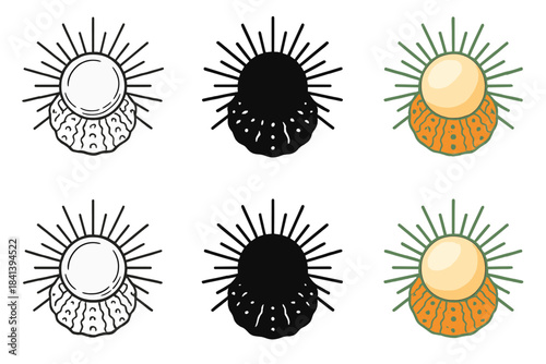 Stylized Sea Urchin Composition. Sea Urchin Pearl Spine, stylized composition blending radial lines, round pearl form, and
