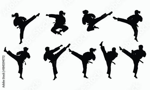 Silhouette collection of martial artists performing dynamic kicks and poses in action