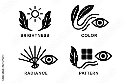 Radiant Feathered Vision. Icons for: brightness weaving between plumes and vision, color flowing from feathers to gaze, radiance