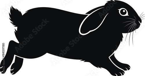 Black Silhouette of a Running Rabbit with Floppy Ears and Fluffy Tail Keywords: rabbit, bunny, silhouette, black, white