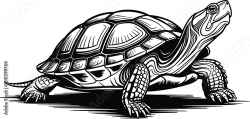 Detailed black and white illustration of a turtle with a patterned shell and textured skin on a white background