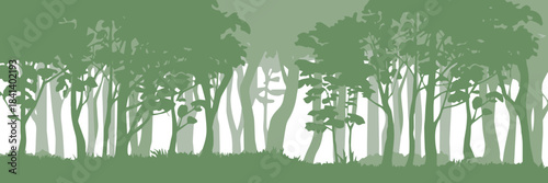 forest depth of trees vector landscape with grass foreground