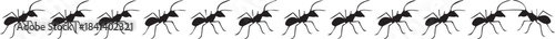 ant seamless pattern marching ants side profile vector art