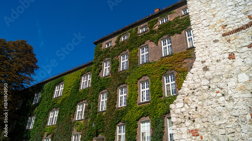 A multi-story brick building with white wooden windows is covered in green leaves. A brick building overgrown with ivy