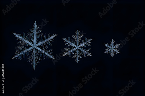 three bright snowflakes are arranged according to their size in a black background