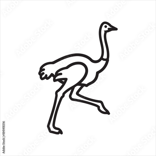 Beautiful ostrich bird vector design art