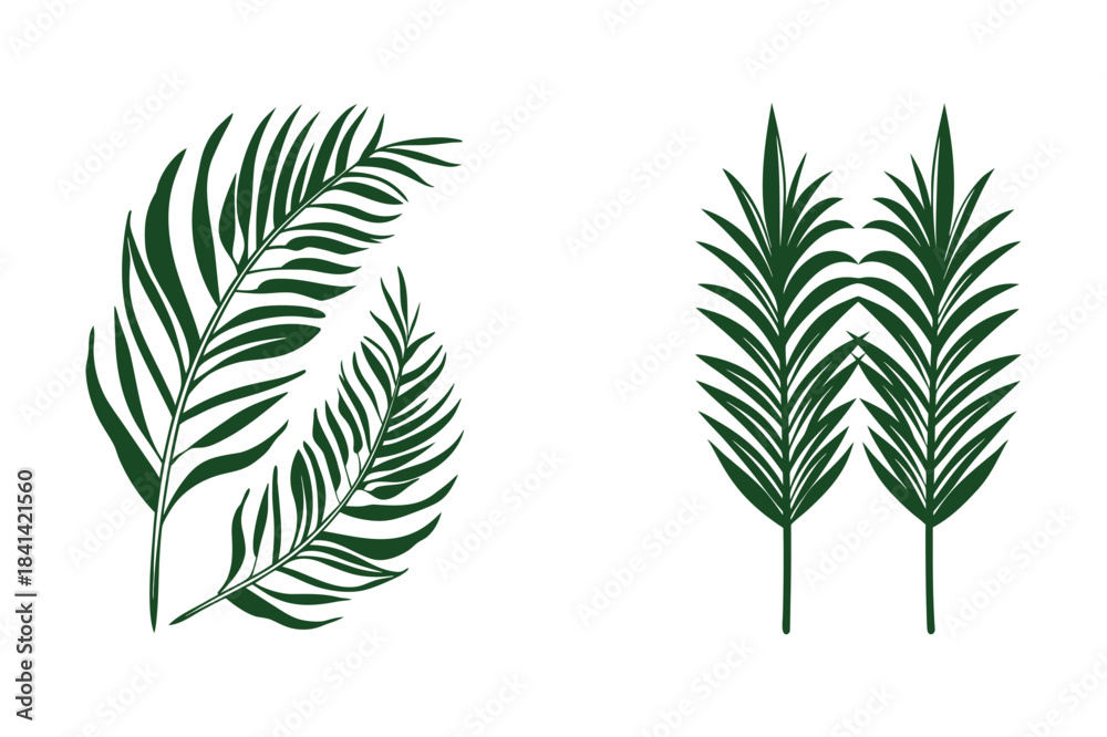 Fototapeta premium Double Green Leaf Botanical Illustration, Minimalist Nature Art Vector