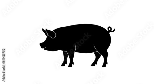 A lone tree silhouette against a dark background silhouette