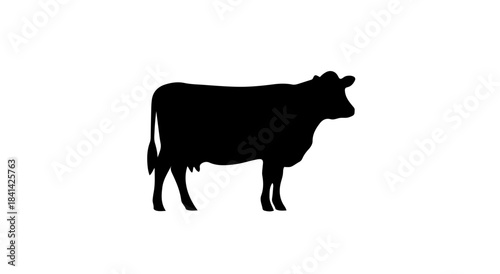 Abstract geometric pattern with a central silhouette