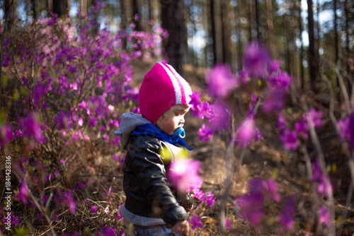 A child in rosemary flowers