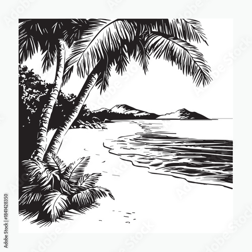 vector illustration of palm trees