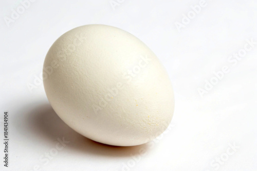 egg on white background