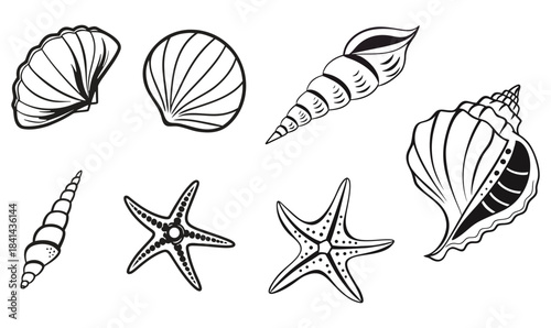 Marine Line Art Set – Seashells and Starfish Illustrations in Black and White