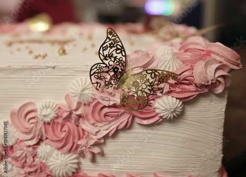 butterfly on a flower