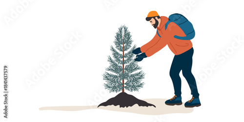 man reforesting area with young fir tree vector