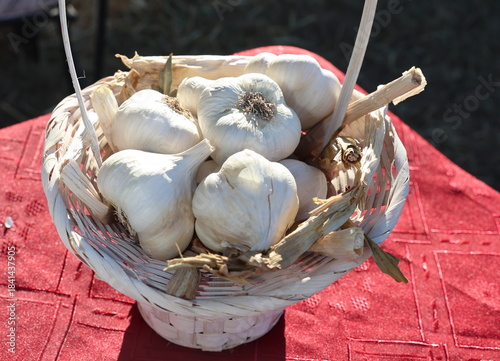 garlic on a wooden table