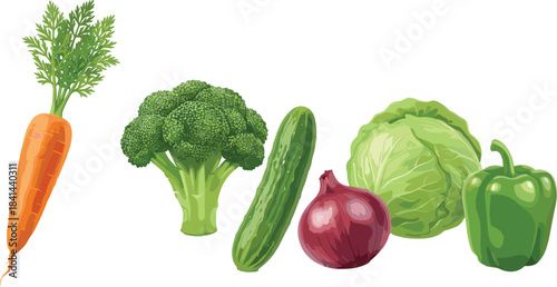 Fresh vegetables, carrot, broccoli, cucumber, red onion, cabbage, green bell pepper, healthy food, organic produce, nutrition, cooking, diet, vegan, 