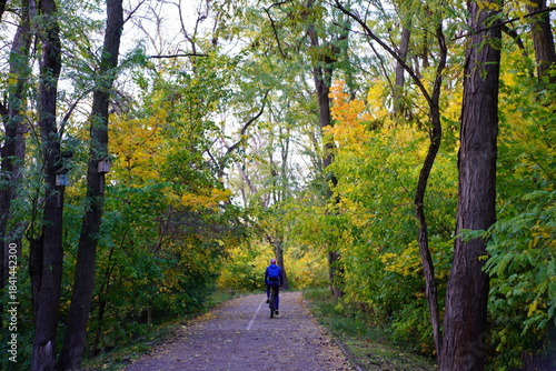 A cyclist rides along the road in an autumn park.