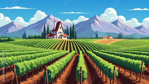 Expansive vineyard with rows of green grapevines stretching towards a distant house and majestic mountains under a clear blue sky with fluffy clouds.
