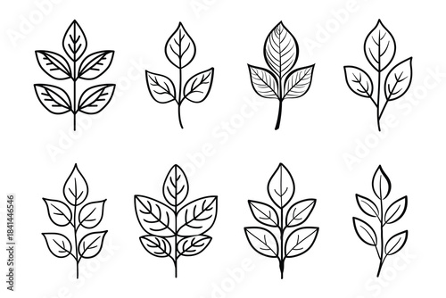 Leaf Vector Icons Set. Botanical Line Art Leaves. Nature Element Vector Graphics.