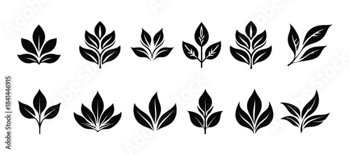 Leaf Silhouette Vector Icons Set. Botanical Leaf Illustration Pack. Nature Element Graphics. Plant Silhouette Designs.