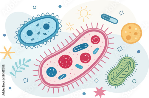 Modern Flat Illustration of Prokaryotic Cell Structure