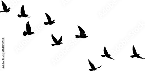 Flying birds silhouettes pattern wallpaper. PNG transparent. isolated bird flying. tattoo design. template for card, package, and wallpaper.