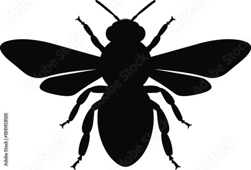 Flying Insect Silhouette Vector Illustration