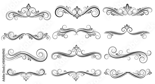 Elegant decorative flourishes and intricate ornamental borders in black and white form a graceful set of elegant borders suitable for various design projects.
