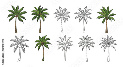 Row of palm trees in varied styles including colored and line art silhouettes for tropical landscape decoration and illustration variety.