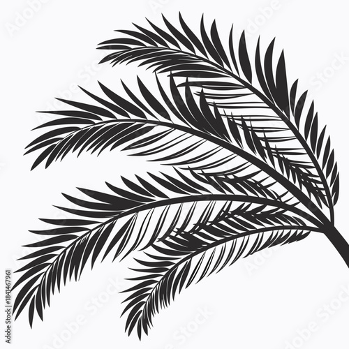 Black silhouette of palm fronds against a white background