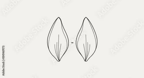 minimalist black and white line art drawing of two symmetrical flower petals against a neutral