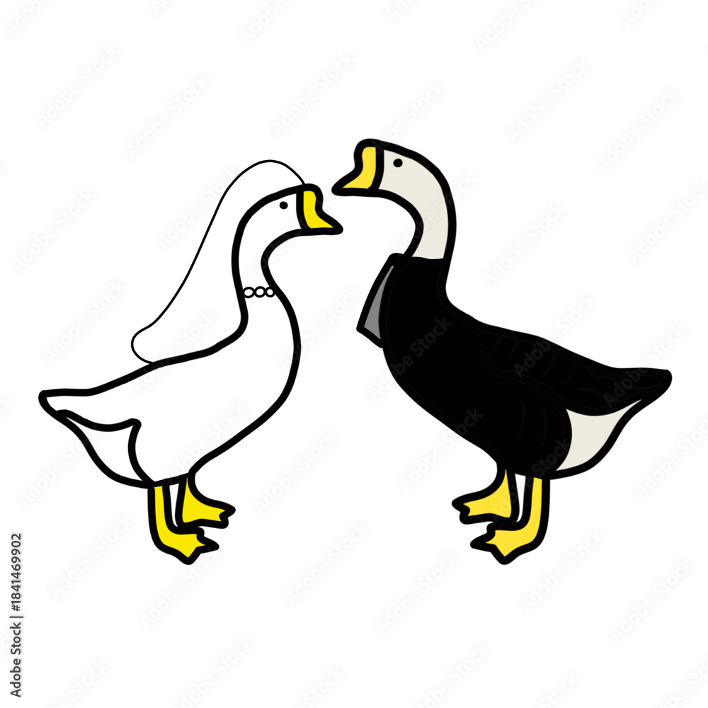 Fototapeta premium Goose Groom and Bride Wedding Black suit marry animal natural hand drawn 