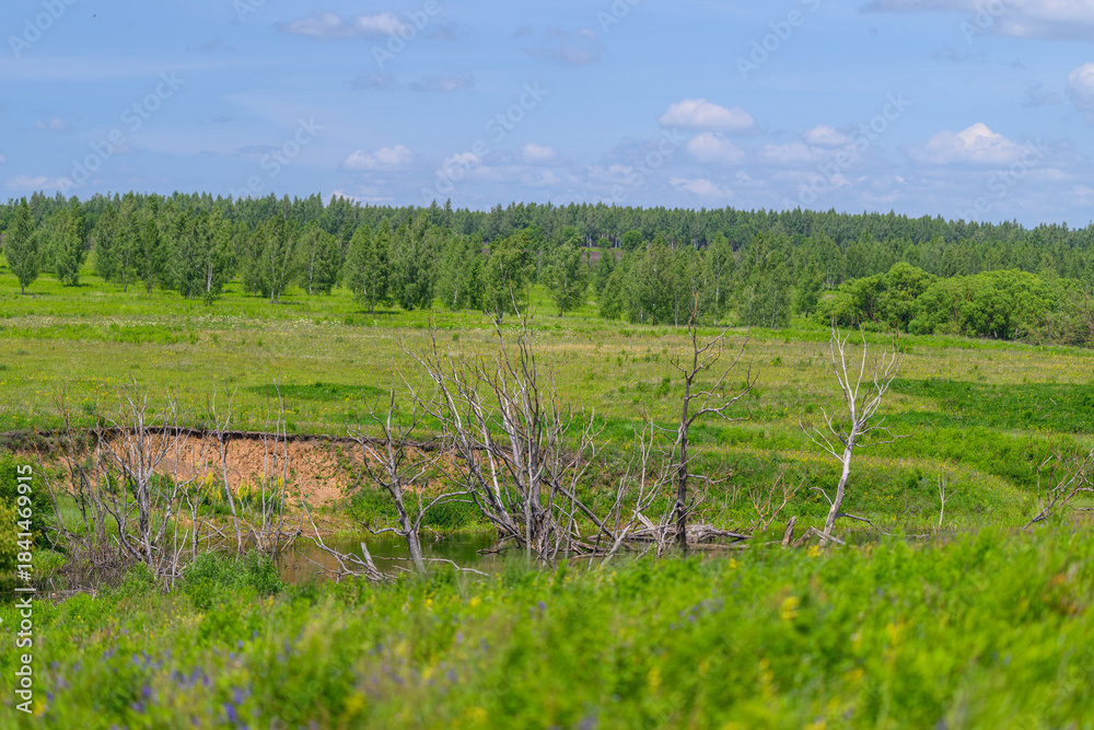 Obraz premium A vast and stunning green landscape adorned with numerous trees set against a clear blue sky