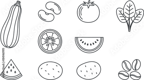 Collection of hand drawn fruits and vegetables illustration