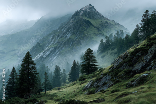 landscape of foggy forest and mountains