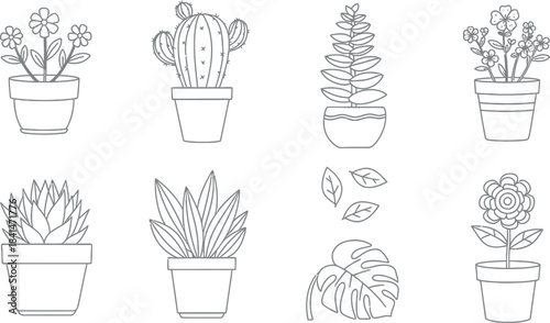 Collection of various potted plants in simple line art style