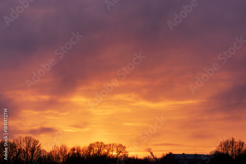 Warm glowing sunset sky with dramatic clouds above winter tree silhouettes