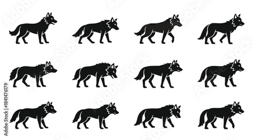 Set of Twelve Black Wolf Silhouette Icons - Various Poses Including Standing, Walking, and Howling Wolf Profiles Vector Isolated on White for Wildlife and Nature Design