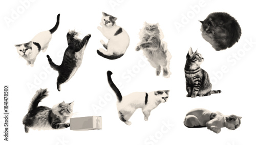 Cats cut outs for сollage with halftone art. Cute cats stickers with vintage dotted texture. Vector on transparent background.