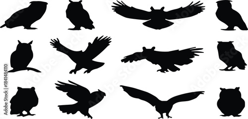 Collection of twelve owl silhouettes, perched and flying poses, nocturnal bird designs, wildlife illustration, mysterious animal symbol, nature and fantasy art