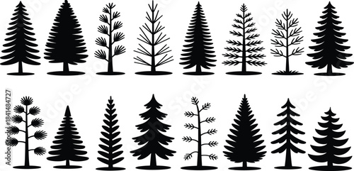 Individual pine tree silhouette vector collection, black fir and spruce nature set, isolated christmas trees for design elements.