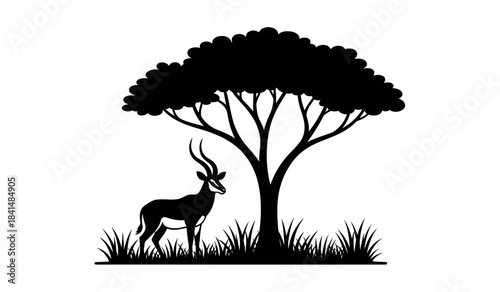 African impala standing beneath tree silhouette illustration