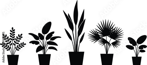 Potted plant silhouette set, indoor foliage diversity, leaf shape variation, black vector icons, botanical illustration, home decor concept