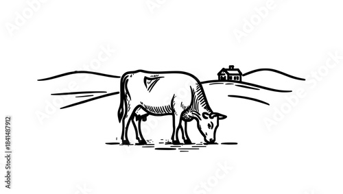 Hand Drawn Engraving Cow Grazing Farm Landscape Vector